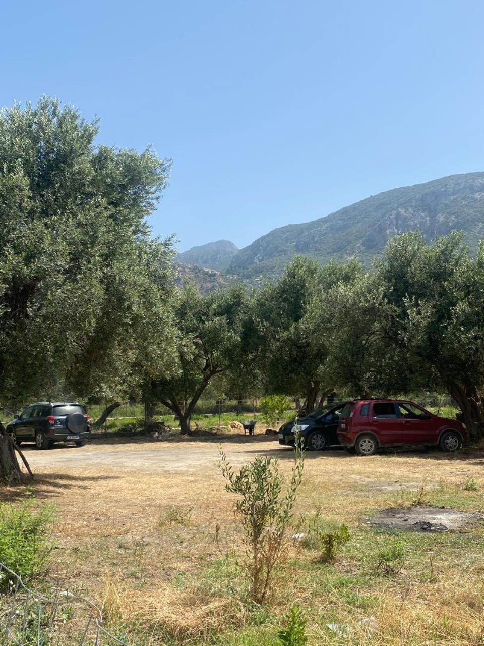 Irini'S Guesthouse Qëparo Exteriér fotografie
