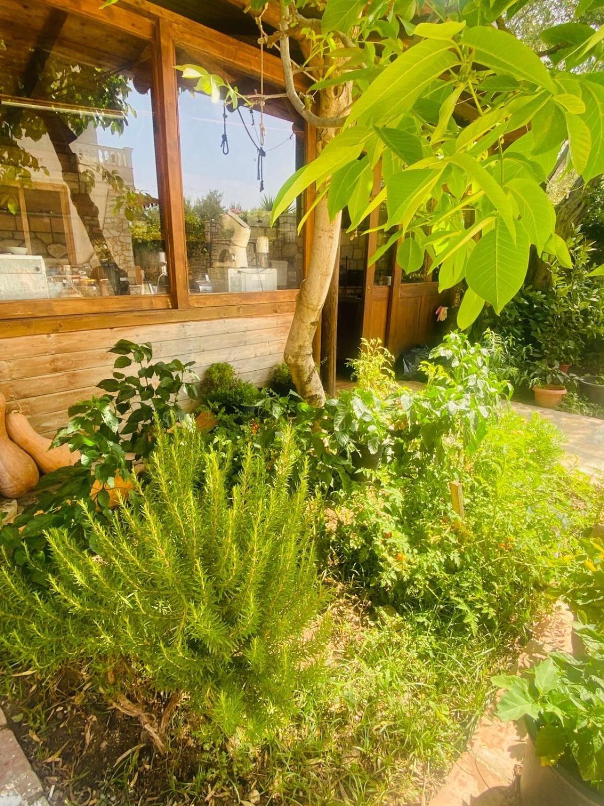 Irini'S Guesthouse Qëparo Exteriér fotografie